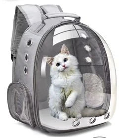 Viajeros de Cuatro Patas