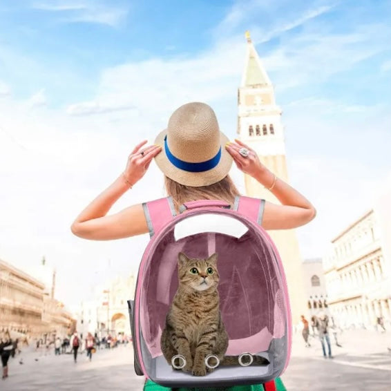 Viajeros de Cuatro Patas